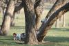 <img100*0:stuff/z/73640/goat%2520reference/i1264923461_28.jpg>