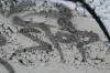 <img100*0:stuff/z/73640/graffiti%2520reference/i1262760487_11.jpg>