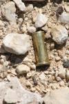 <img100*0:stuff/z/73640/gun%2520shells/i1275868524_4.jpg>