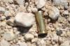 <img100*0:stuff/z/73640/gun%2520shells/i1275868524_5.jpg>