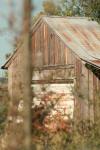 <img100*0:stuff/z/73640/house%2520reference/i1263355419_1.jpg>