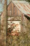<img100*0:stuff/z/73640/house%2520reference/i1263355419_2.jpg>