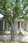 <img100*0:stuff/z/73640/house%2520reference/i1263355420_12.jpg>