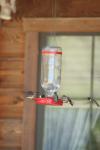 <img100*0:stuff/z/73640/hummingbirds/i1262497224_2.jpg>