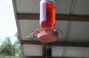 <img100*0:stuff/z/73640/hummingbirds/i1262497225_13.jpg>
