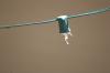 <img100*0:stuff/z/73640/light%2520bulbs.1/i1278643428_2.jpg>