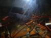 <img100*0:stuff/z/73640/lobster%2520reference/i1264126691_1.jpg>