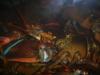 <img100*0:stuff/z/73640/lobster%2520reference/i1264126692_5.jpg>