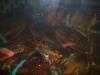<img100*0:stuff/z/73640/lobster%2520reference/i1264126692_7.jpg>