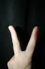 <img0*100:stuff/z/73640/love%2520reference/i1264123259_5.jpg>