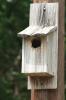 <img0*100:stuff/z/73640/misc.%2520reference.%25403/i1263433754_27.jpg>