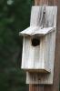 <img0*100:stuff/z/73640/misc.%2520reference.%25403/i1263433754_33.jpg>