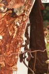 <img100*0:stuff/z/73640/misc.%2520reference.%25403/i1263434454_4.jpg>