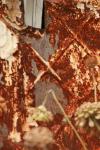 <img100*0:stuff/z/73640/misc.%2520reference.%25403/i1263434454_8.jpg>