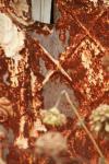 <img100*0:stuff/z/73640/misc.%2520reference.%25403/i1263434455_14.jpg>