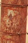 <img100*0:stuff/z/73640/misc.%2520reference.%25403/i1263434455_23.jpg>
