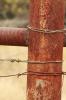 Rust Color.2