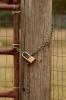 <img0*100:stuff/z/73640/misc.%2520reference.%25403/i1263434455_35.jpg>