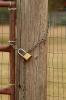 <img0*100:stuff/z/73640/misc.%2520reference.%25403/i1263434455_40.jpg>