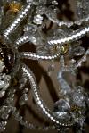 <img100*0:stuff/z/73640/misc.%2520reference.2%2520/i1263264276_2.jpg>