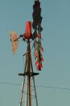 <img100*0:stuff/z/73640/misc.%2520reference.2%2520/i1263268392_11.jpg>