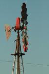 <img100*0:stuff/z/73640/misc.%2520reference.2%2520/i1263268392_16.jpg>