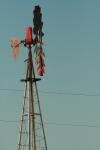 <img100*0:stuff/z/73640/misc.%2520reference.2%2520/i1263268392_20.jpg>