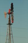 <img100*0:stuff/z/73640/misc.%2520reference.2%2520/i1263268393_32.jpg>