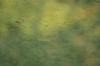 <img100*0:stuff/z/73640/misc.%2520water%2520reference/i1257804325_1.jpg>