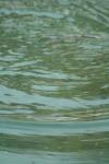 <img100*0:stuff/z/73640/misc.%2520water%2520reference/i1257804325_3.jpg>