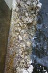 <img100*0:stuff/z/73640/misc.%2520water%2520reference/i1278808852_3.jpg>