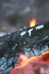 <img100*0:stuff/z/73640/on%2520fire%2520reference/i1263353515_3.jpg>