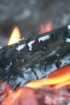 <img100*0:stuff/z/73640/on%2520fire%2520reference/i1263353515_6.jpg>