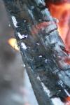 <img100*0:stuff/z/73640/on%2520fire%2520reference/i1263353516_11.jpg>