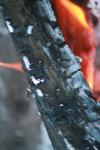<img100*0:stuff/z/73640/on%2520fire%2520reference/i1263353516_8.jpg>