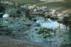 <img100*0:stuff/z/73640/park%2520reference.1/i1262973745_3.jpg>