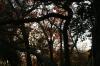 <img100*0:stuff/z/73640/park%2520reference.1/i1262973746_14.jpg>