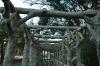 <img100*0:stuff/z/73640/park%2520reference.1/i1262973746_8.jpg>