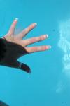 <img100*0:stuff/z/73640/pool.1/i1278817547_1.jpg>