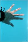 <img100*0:stuff/z/73640/pool.1/i1278817551_7.jpg>