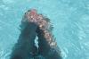 <img100*0:stuff/z/73640/pool.1/i1278818938_13.jpg>