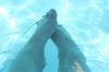<img100*0:stuff/z/73640/pool.1/i1278818940_28.jpg>