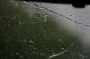 <img100*0:stuff/z/73640/rainwater%2520reference.2/i1277861913_2.jpg>
