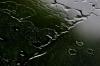 <img100*0:stuff/z/73640/rainwater%2520reference.2/i1277861913_3.jpg>