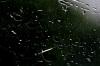 <img100*0:stuff/z/73640/rainwater%2520reference.2/i1277861913_4.jpg>