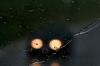<img100*0:stuff/z/73640/rainwater%2520reference.2/i1277861913_6.jpg>