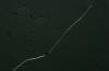 <img100*0:stuff/z/73640/rainwater%2520reference.2/i1277861913_7.jpg>