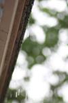 <img100*0:stuff/z/73640/rainwater%2520reference/i1258055784_1.jpg>