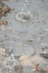 <img100*0:stuff/z/73640/rainwater%2520reference/i1258055784_3.jpg>