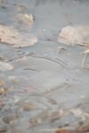 <img100*0:stuff/z/73640/rainwater%2520reference/i1258055784_5.jpg>